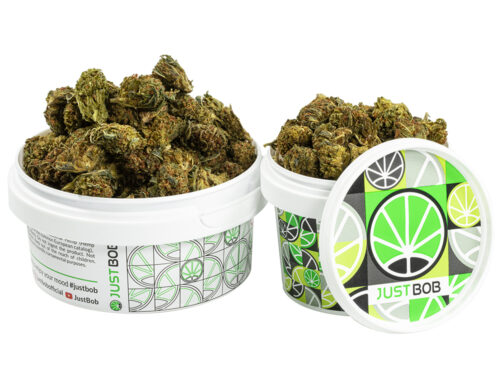 tin with small flowers of GG4 cbd boost cannabis cbd