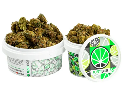 tin with small flowers of GG4 cbd boost cannabis cbd
