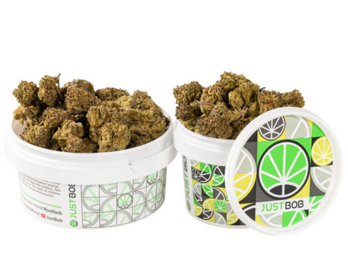tin with small flowers of HQ cbd boost cannabis cbd