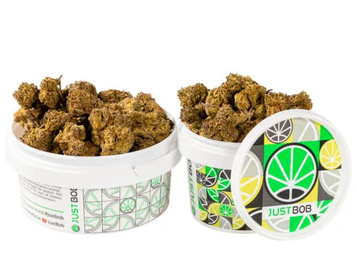 tin with small flowers of HQ cbd boost cannabis cbd