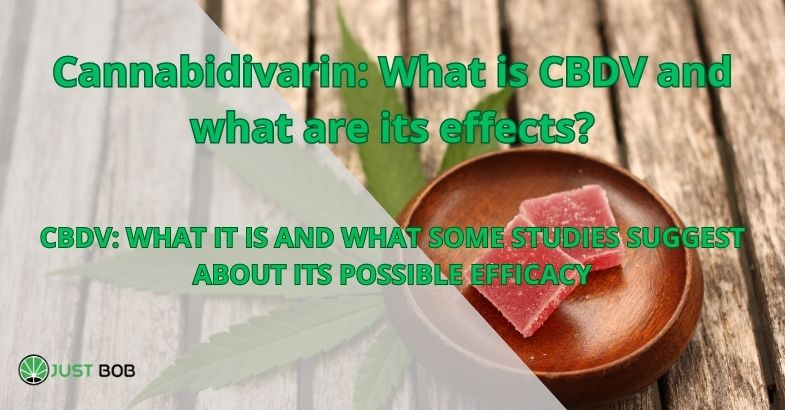 Cannabidivarin: What is CBDV and what are its effects?