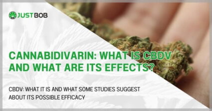 Cannabidivarin: What is CBDV and what are its effects?