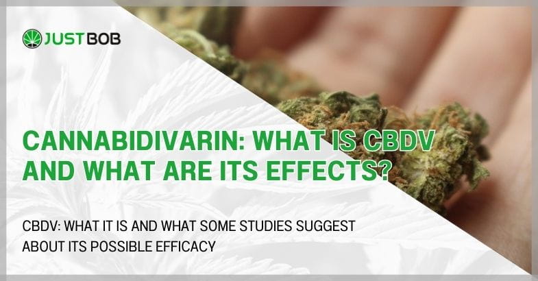 Cannabidivarin: What is CBDV and what are its effects?