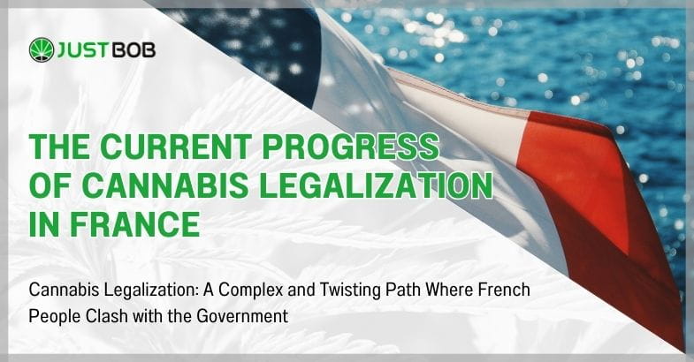 The current progress of cannabis legalization in France