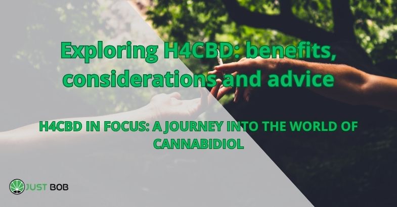 Exploring H4CBD: benefits, considerations and advice
