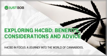 Exploring H4CBD: benefits, considerations and advice