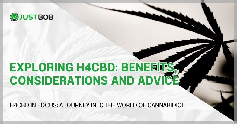 Exploring H4CBD: benefits, considerations and advice