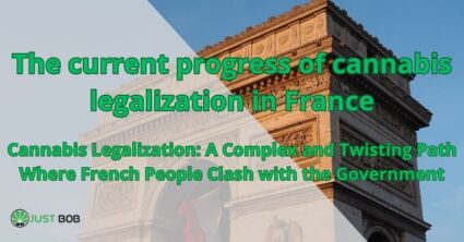 The current progress of cannabis legalization in France