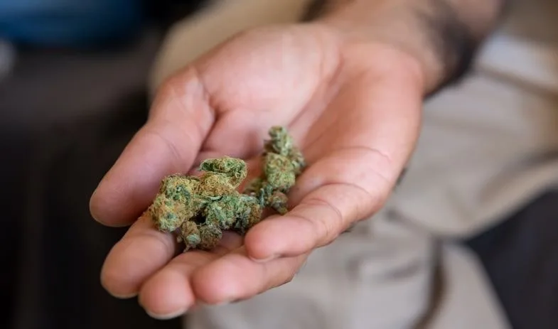 legalization-in-french Legalization in France: A Definitive 'No' to HHC