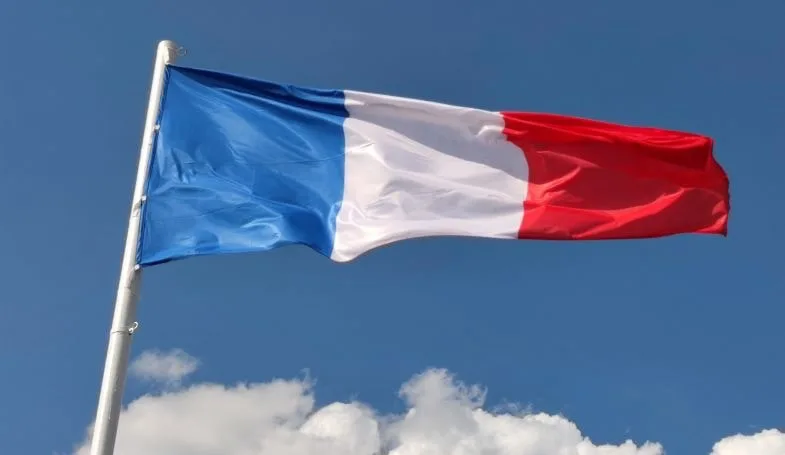 the-french-flag Cannabis Legalization: French Public's Opinion