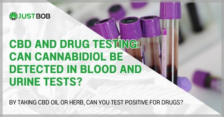 CBD and drug testing: can cannabidiol be detected in blood and urine tests?