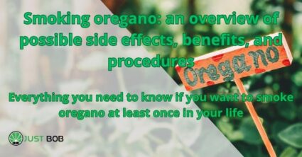 Smoking oregano: an overview of possible side effects, benefits, and procedures