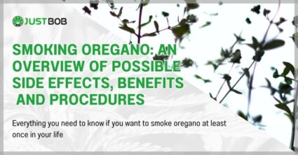 Smoking oregano: an overview of possible side effects, benefits, and procedures