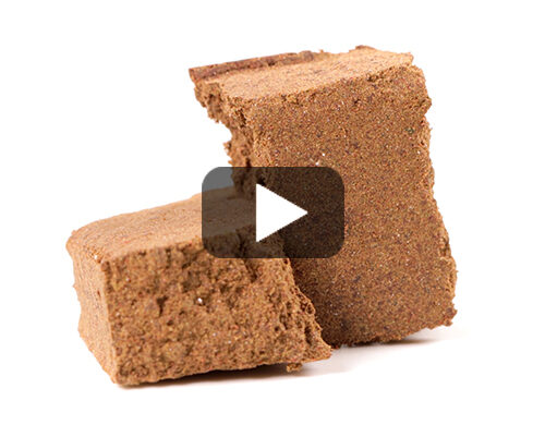 video-preview-orange-dry-hash-online