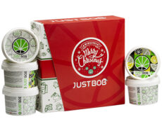 Justbob XMAS KIT open box with multiple containers of legal CBD flower, featuring Christmas branding and cannabis leaf design, perfect for holiday gifting