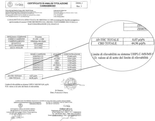 Mango CBD boost weed typology analysis certificate