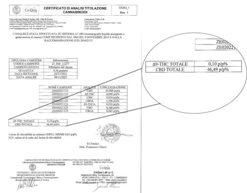 Image of a cannabinoid analysis certificate emphasizing THC and CBD results, issued by an accredited Italian laboratory