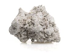 Close-up of a CBD flower Critical super boost rich in from organic and sustainable cultivation 