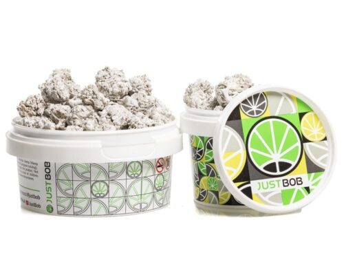 High-quality CBD flower buds in a sealed white container for freshness