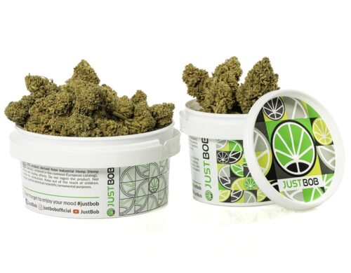 High-quality CBD flower buds in a sealed white container for freshness