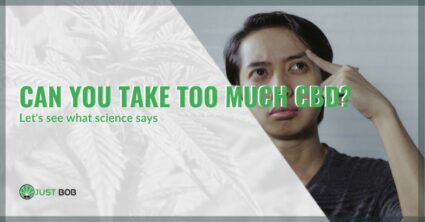Can you take too much CBD? | Justbob