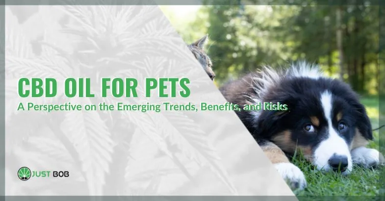 cbd-oil-pets(1) CBD oil for pets | Justbob