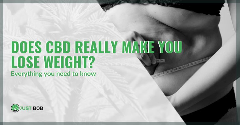 Does CBD make you lose weight | Justbob