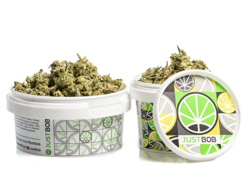 Alpine CBG Small Budscbd weed in a white container