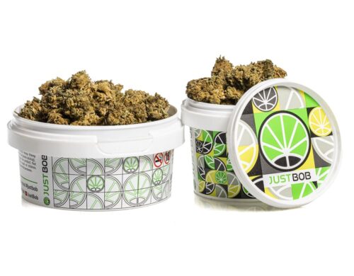 Blueberry Small Buds cbd weed in a white container