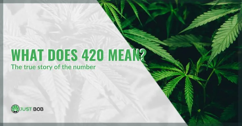 the number 420 what does 420 mean | just bob