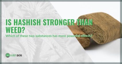 Is hashish stronger than weed | Justbob