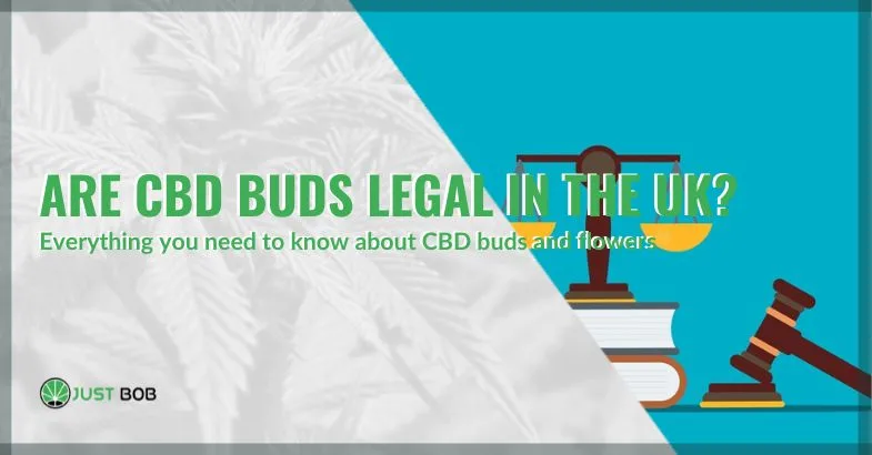 are-buds-legal-in-uk Are buds legal in the UK | Justbob