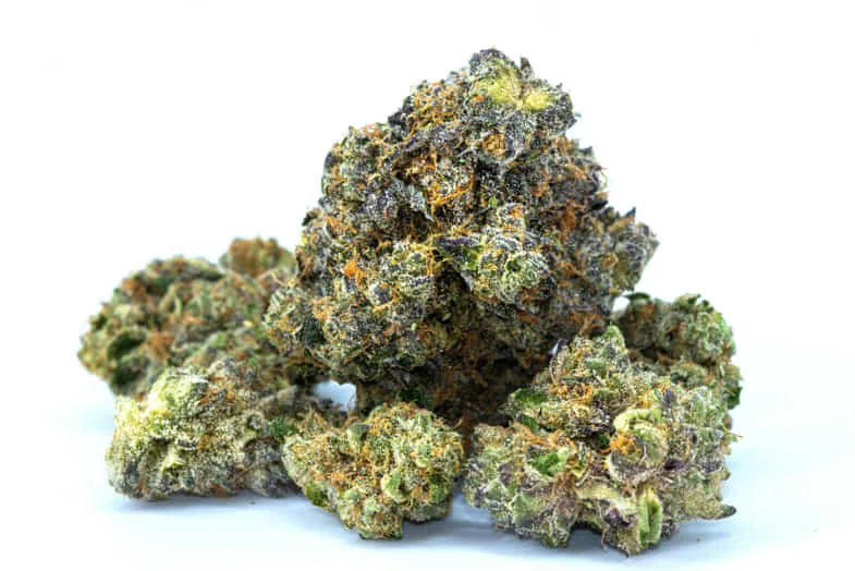 CBD buds on a white background | Justbob