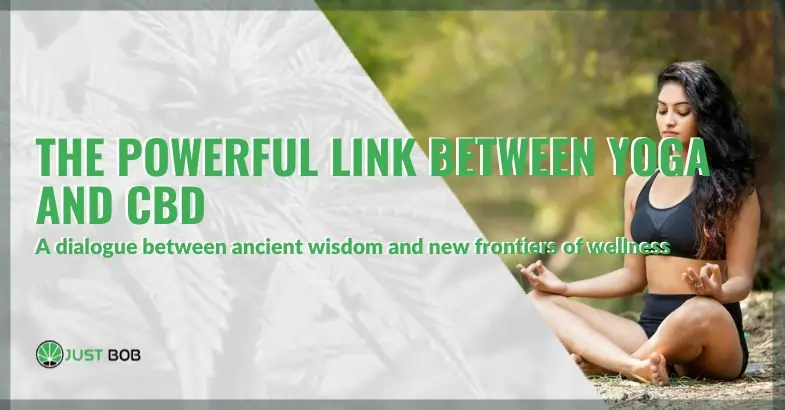Discovering the powerful link between yoga and CBD for mind-body wellness | Justbob
