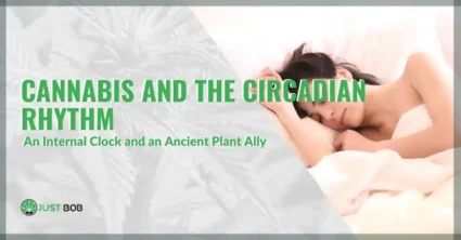Cannabis and the circadian rhythm: a surprising connection | Justbob