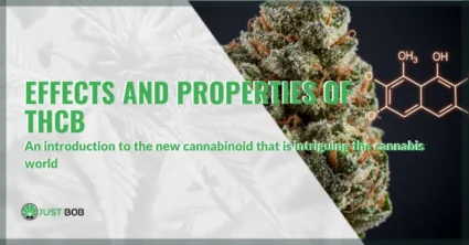 Effects and properties of THCB: everything you need to know | Justbob