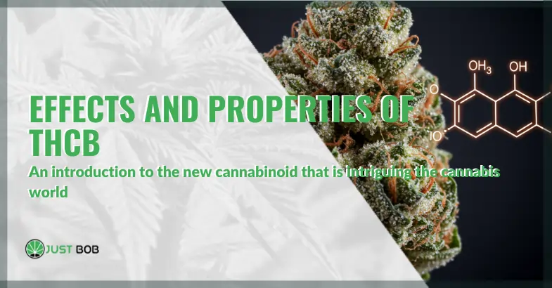 Effects and properties of THCB: everything you need to know | Justbob