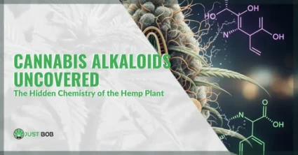 Cannabis alkaloids | Justbob