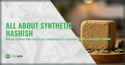 Synthetic hashish: what makes this artificial compound a growing concern in the cannabis world | Justbob