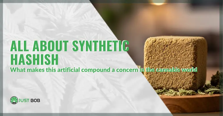 Synthetic hashish: what makes this artificial compound a growing concern in the cannabis world | Justbob