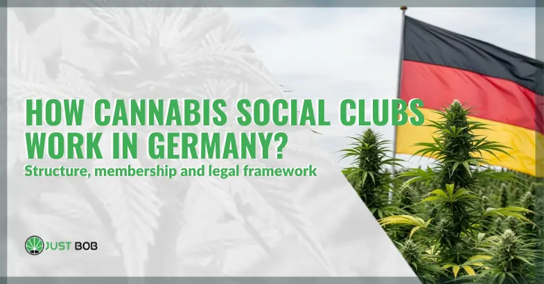 How cannabis social clubs work in Germany: structure, membership and legal framework | Justbob