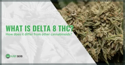 What is Delta 8 THC and how does it differ from other cannabinoids | Justbob