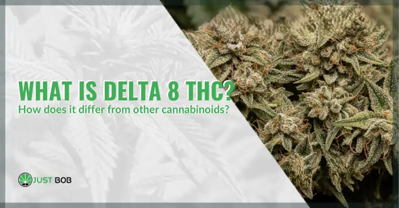 What is Delta 8 THC and how does it differ from other cannabinoids | Justbob