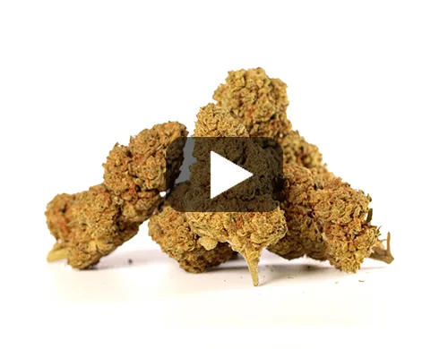 double-cookies-video-preview