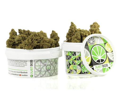 Jar with Light Cannabis Flowers – Double Cookies