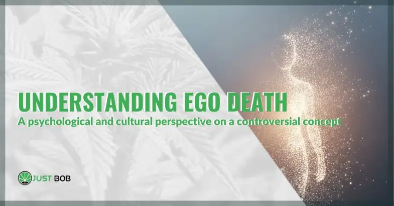 Understanding ego death: a psychological and cultural perspective on a controversial concept | Justbob