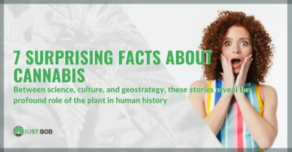 7 surprising facts about cannabis you probably didn't know | Justbob
