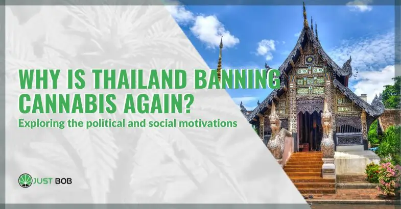 Why is Thailand banning cannabis again? Exploring the political and social motivations | Justbob