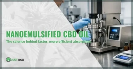 Nanoemulsified CBD oil and the science behind faster, more efficient absorption | Justbob