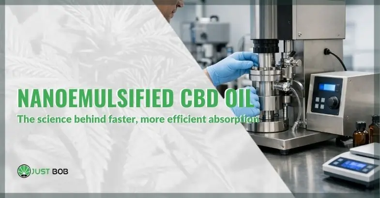 Nanoemulsified CBD oil and the science behind faster, more efficient absorption | Justbob